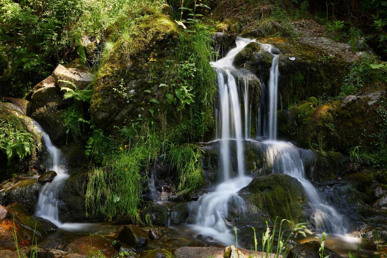 Macdonald Forest Hills Hotel & Spa Aberfoyle  Bagian luar foto